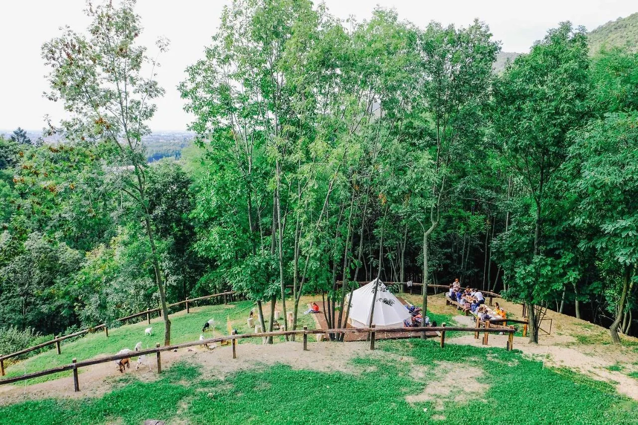 Farm stay Agriturismo Ca' Fenile Alzano Lombardo