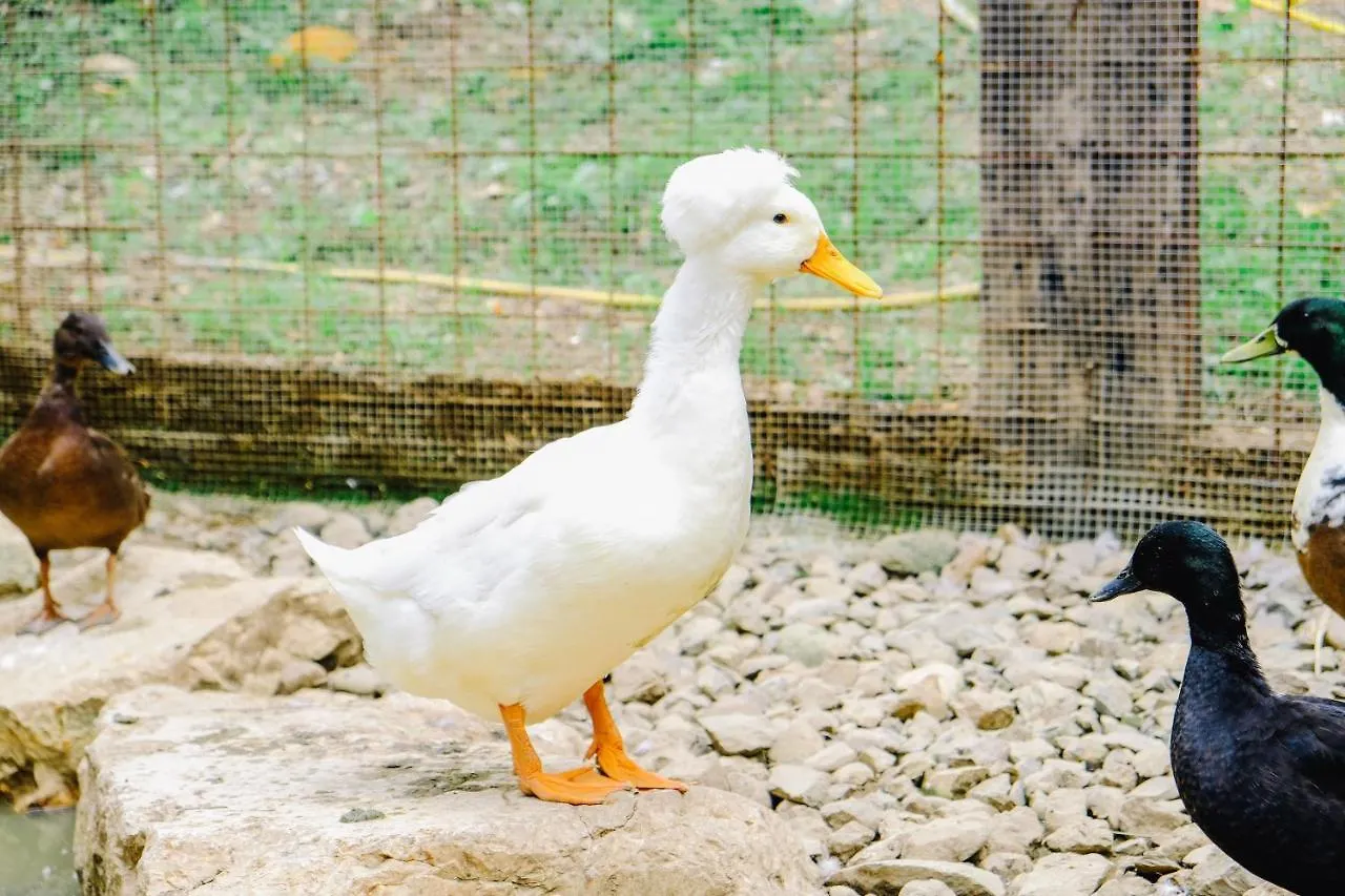 Agriturismo Ca' Fenile Alzano Lombardo 农家乐