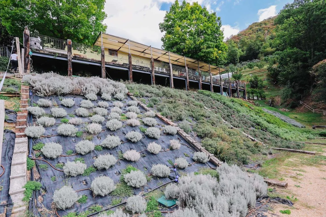 Agriturismo Ca' Fenile Alzano Lombardo 农家乐