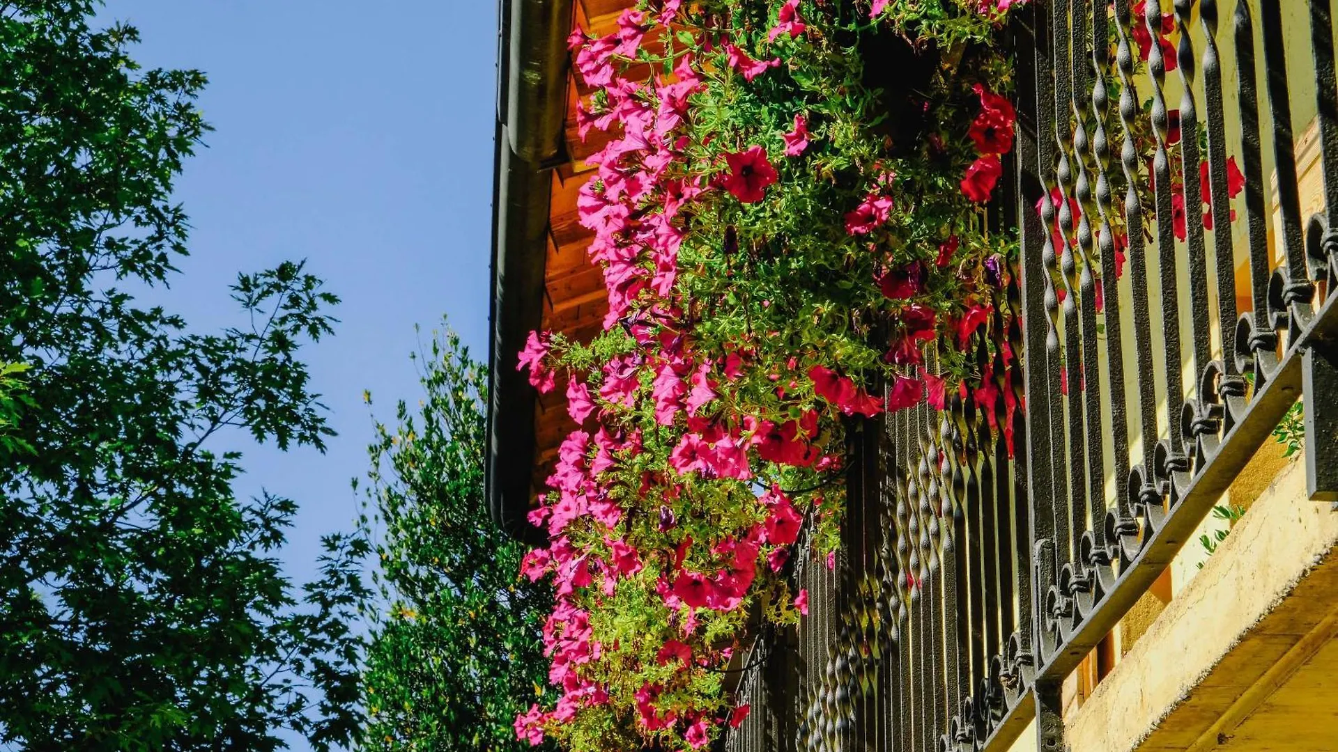 农家乐 Agriturismo Ca' Fenile Alzano Lombardo