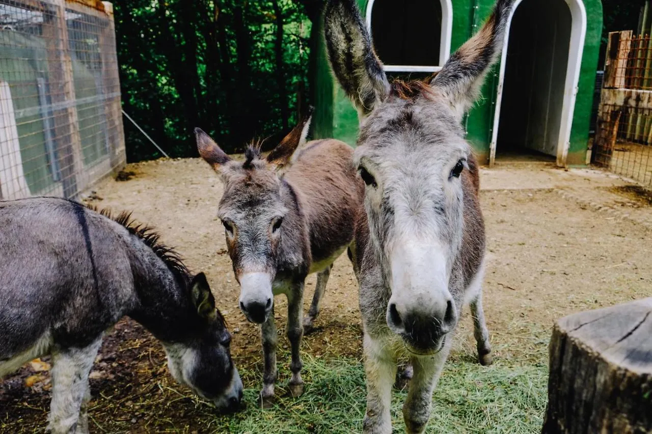 Séjour à la ferme Agriturismo Ca' Fenile Alzano Lombardo Italie