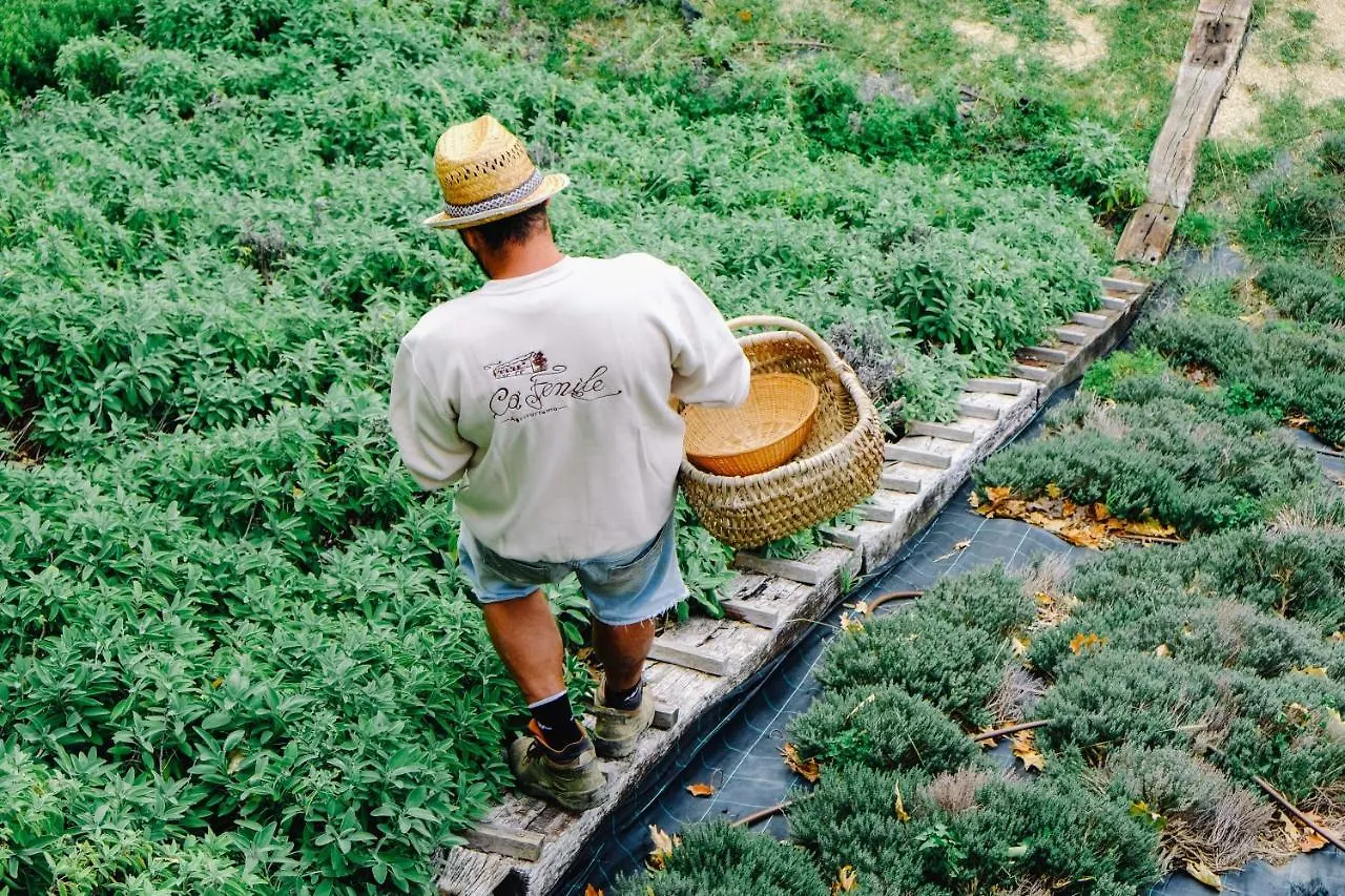 Agriturismo Ca' Fenile Alzano Lombardo